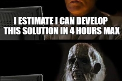 Estimated solution