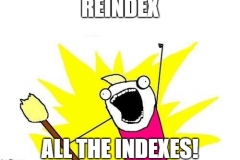 reindex all the index